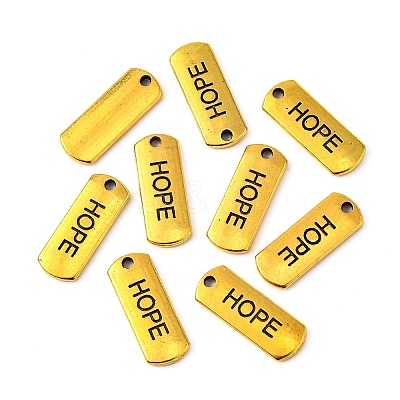 Tibetan Style Alloy Rectangle Pendants LS-TIBEP-Q043-054AG-RS-1