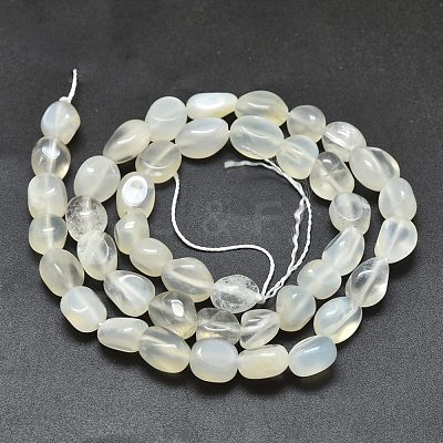 Natural White Moonstone Beads Strands X-G-O186-C-04-1