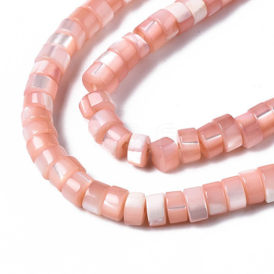 Natural Trochus Shell Beads Strands X-SHEL-S278-027H-1