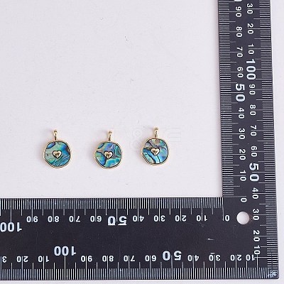 5Pcs Natural Abalone Shell/Paua Shell Pendants KK-SZ0002-38A-1