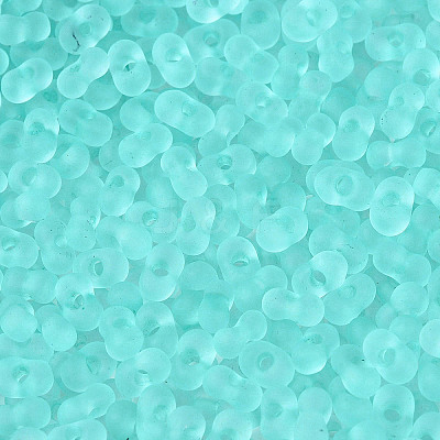 FGB Frosted Transparent Glass Seed Beads SEED-N013-06A-10-1