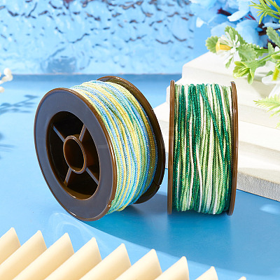 2 Rolls 2 Colors Segment Dyed Round Polyester Twisted Cords OCOR-TA0003-59A-1