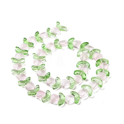 Transparent Glass Beads Strands LAMP-H061-02C-1