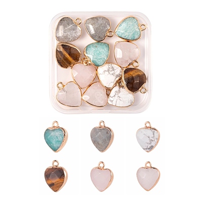 12Pcs 6 Style Electroplate Natural Gemstone Pendants G-LS0002-09-1