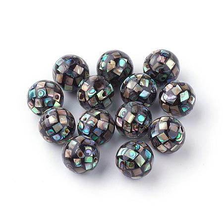 Natural Paua Shell Beads SSHEL-Q298-12mm-09-1