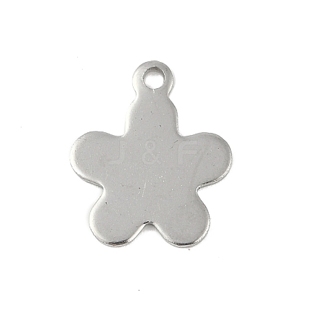 Non-Tarnish 201 Stainless Steel Charms STAS-C108-38P-1