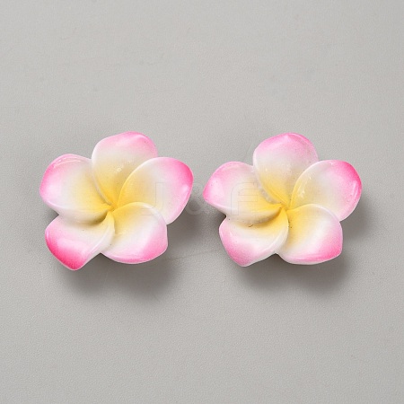 Two Tone Resin Cabochons RESI-WH20010-01F-1