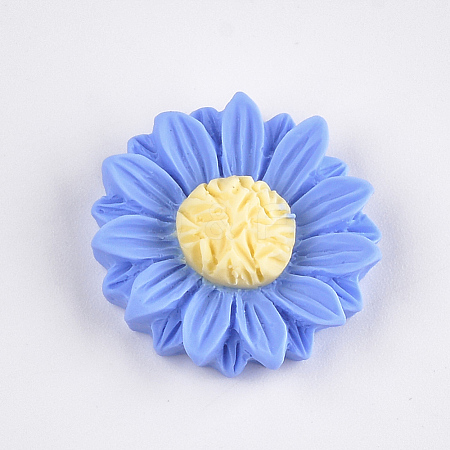 Resin Cabochons LS-X-CRES-T010-59D-1