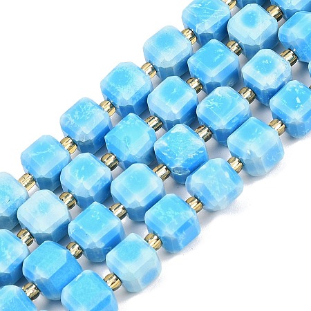 Natural Howlite Beads Strands G-C025-01B-1