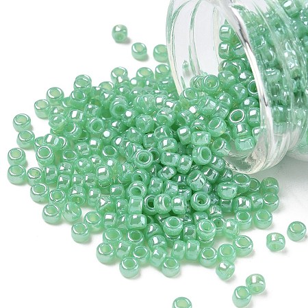 TOHO 6/0 Round Beads SEED-TR06-0144-1