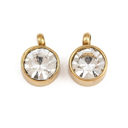 304 Stainless Steel Charms STAS-G118-05G-1