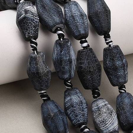 Natural Weathered Agate Beads Strands G-A321-B02-02-1