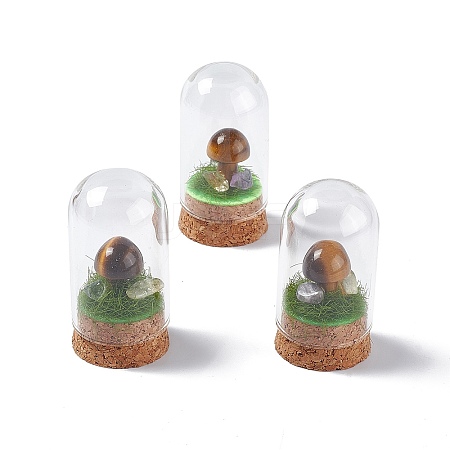 Natural Tiger Eye Mushroom Display Decoration with Glass Dome Cloche Cover G-E588-03F-1