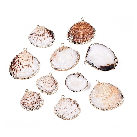 Electroplate Natural Sea Shell Pendants SSHEL-Q100-17KCG-1