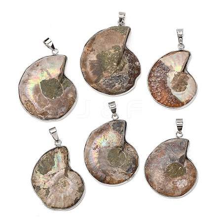 Snail Fossil Pendants G-D051-1-1