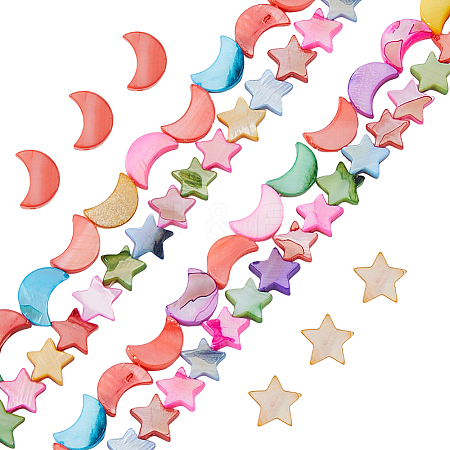 2 Strands 2 Styles Dyed Natural Shell Beads Strands SHEL-FH0001-25-1