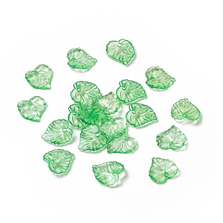 Transparent Acrylic Pendants TACR-G039-01-1