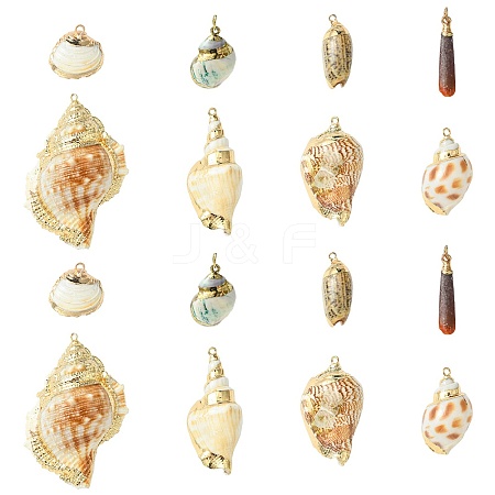 16pcs 8 Styles Electroplated Natural Mixed Shell Big Pendants SSHEL-CJ0001-21-1