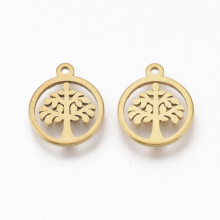 201 Stainless Steel Charms STAS-T050-020G-1