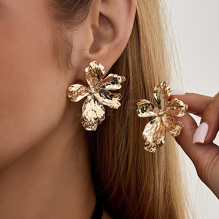 Alloy & Iron Stud Earrings for Women WGCAC55-05-1