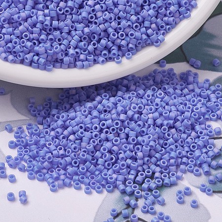 MIYUKI Delica Beads Small X-SEED-J020-DBS0881-1