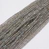 Natural Larvikite Beads Strands G-E349-01-1