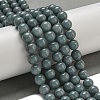 Natural Myanmar Jadeite Beads Strands G-B099-C07-04-2