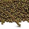 TOHO 6/0 Round Beads SEED-XTR06-1209-2