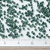 MIYUKI Delica Beads X-SEED-J020-DB0276-4