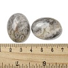 Natural Crazy Agate Cabochons G-C115-01B-33-3