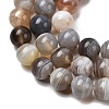 Natural Botswana Agate Beads Strands G-H334-A01-01-4