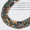 Olycraft 4 Strands 4 Styles Natural Indian Agate Beads Strands G-OC0005-15-4