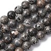 Natural Fluorescent Syenite Rock(Glow under UV Light) Beads Strands G-G789-02E-2