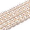Grade AAA Natural Cultured Freshwater Pearl Beads Strands PEAR-L033-67-1