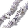 Natural Purple Turquoise Beads Strands G-M205-84-1