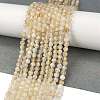 Natural Citrine Beads Strands G-H002-A01-01-2