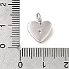 925 Sterling Silver Micro Pave Clear Cubic Zirconia Charms STER-V001-01P-03-3