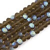 Transparent Glass Beads Strands LS-EGLA-A044-T4mm-MB16-1