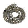 Natural Labradorite Beads Strands G-K376-F07-01-3