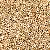 MIYUKI Delica Beads SEED-X0054-DB2501-2