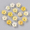 Frosted Transparent Acrylic Beads LS-OACR-N137-72G-2