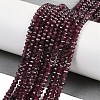 Natural Garnet Beads Strands G-H081-A01-01-2