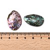 Natural Paua Shell Cabochons SSHEL-S280-01C-3