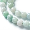 Natural Jadeite Beads Strands G-L568-001B-3