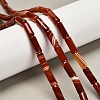 Dyed Natural Agate Beads Strands G-G203-01D-1