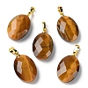 Natural Tiger Eye Pendants G-E603-03G-01-1