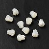 Natural Trochid Shell/Trochus Shell Beads BSHE-E026-03-1