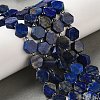 Natural Lapis Lazuli Beads Strands G-P534-A12-02-2