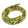 Natural Serpentine Beads Strands G-P603-C-3mm-06-3
