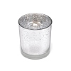 Glass Bottle Candle Holder GLAA-WH0029-11A-1